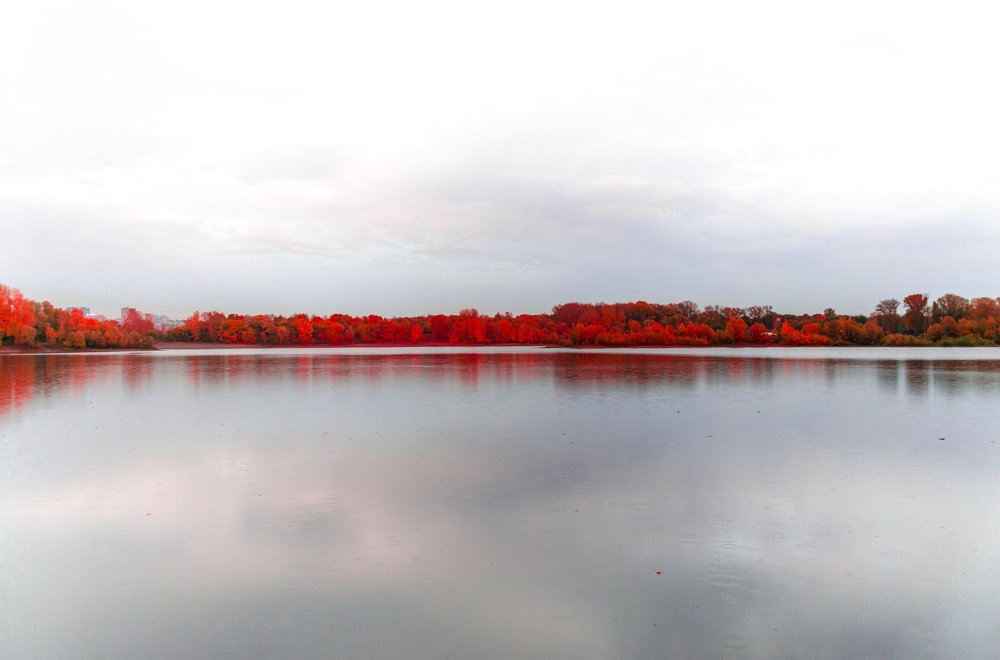 Photograph by Анастасия Харина