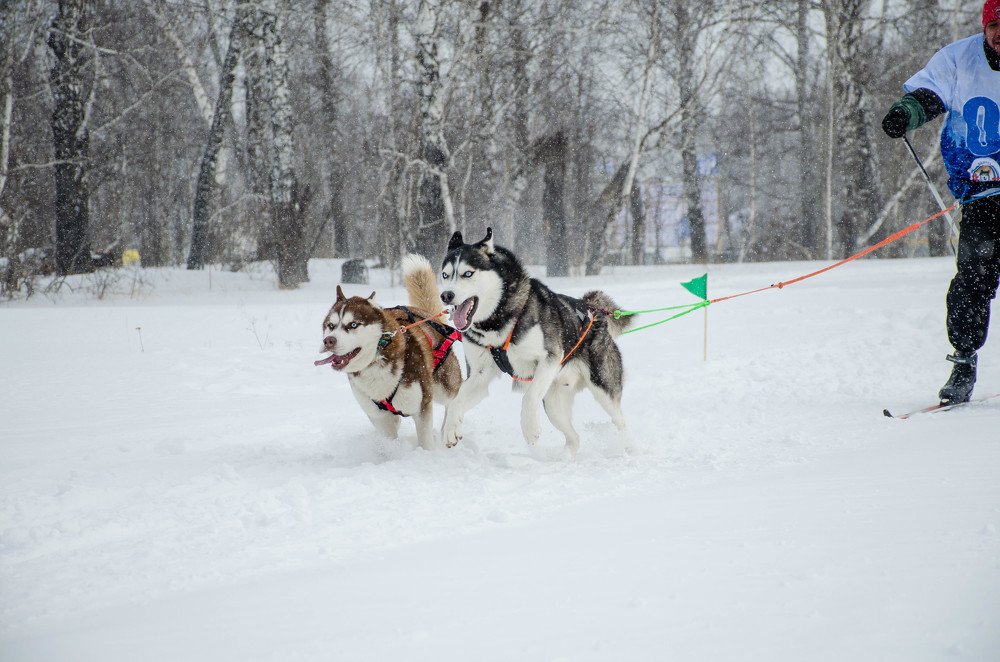 Photograph by Анастасия Харина