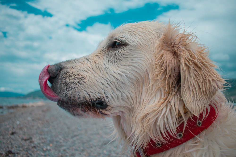 Photograph by Ivana Bozinovic