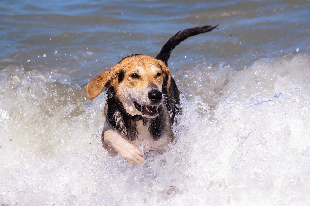 Photograph by Елена Верховская