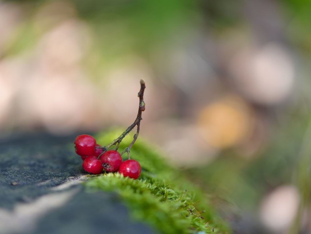 Photograph by Евгений Паршуков