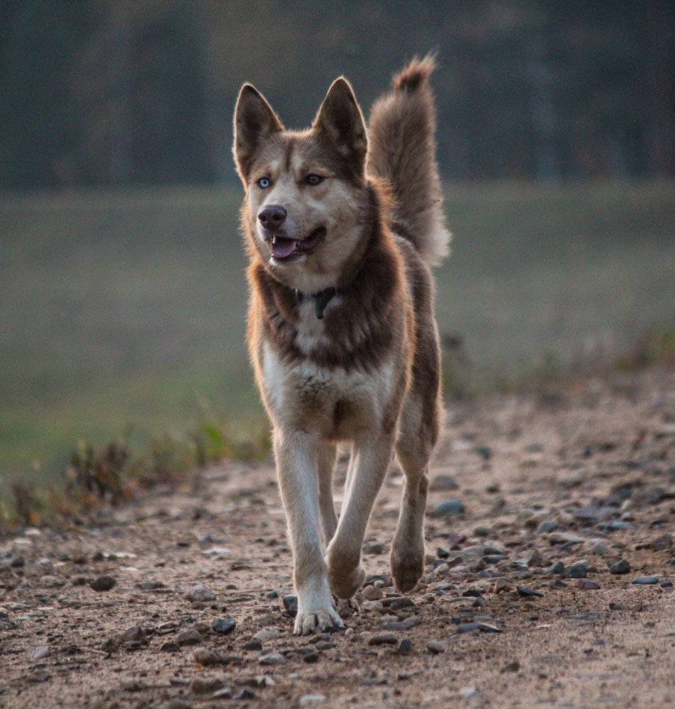 Photograph by Елена Верховская