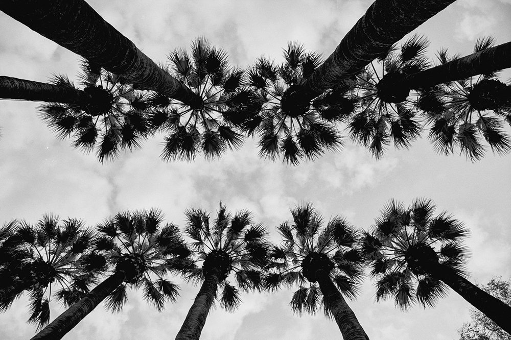 Photograph by Kostas Rammos