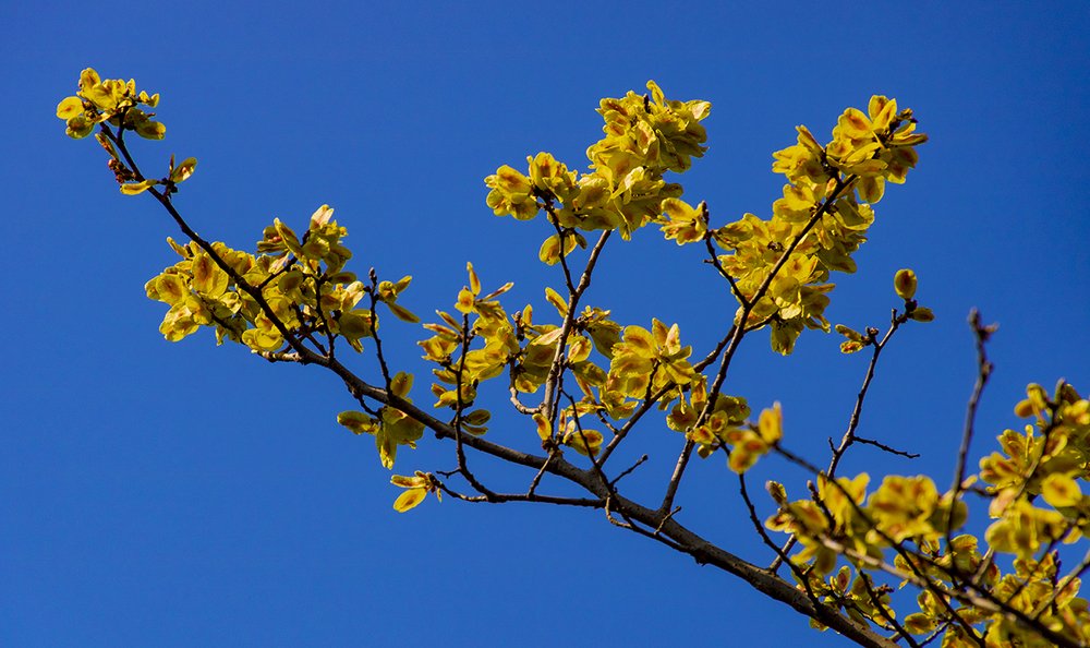 Photograph by Alex Kalpus