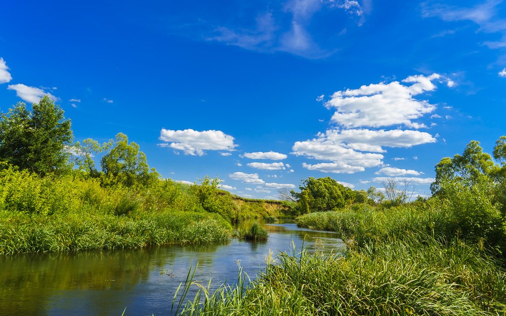 Река Кшень. Лето.