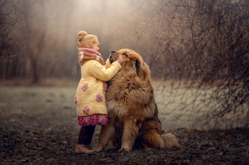 Photograph by Юлия Храпова