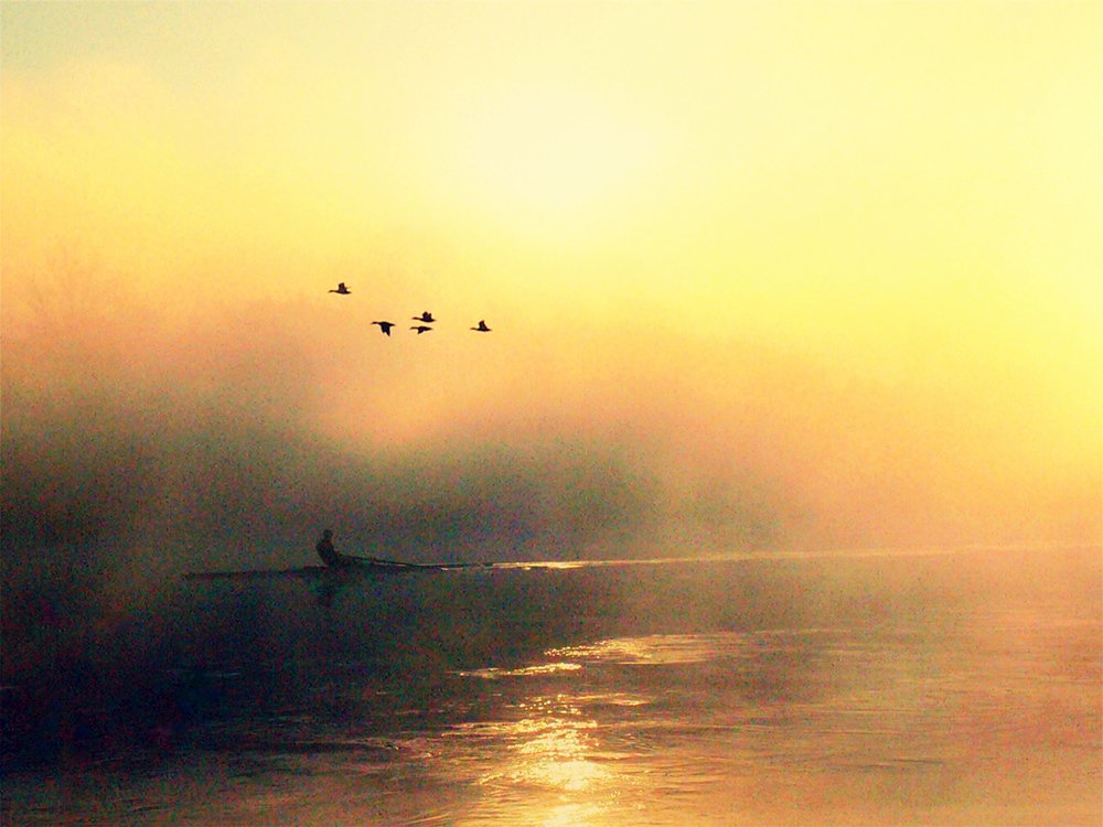 Photograph by Zoltán Ölbey