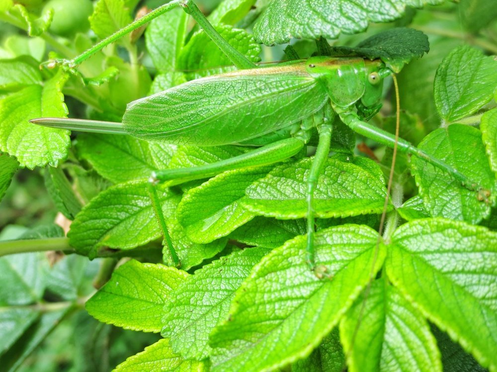 Photograph by Светлана Гончарова