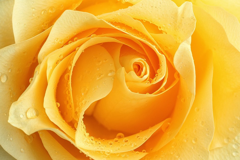 Photograph by Елена Алексеева