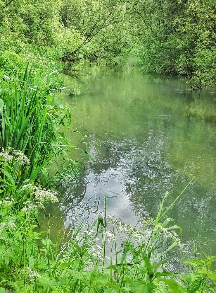 Photograph by Людмила М