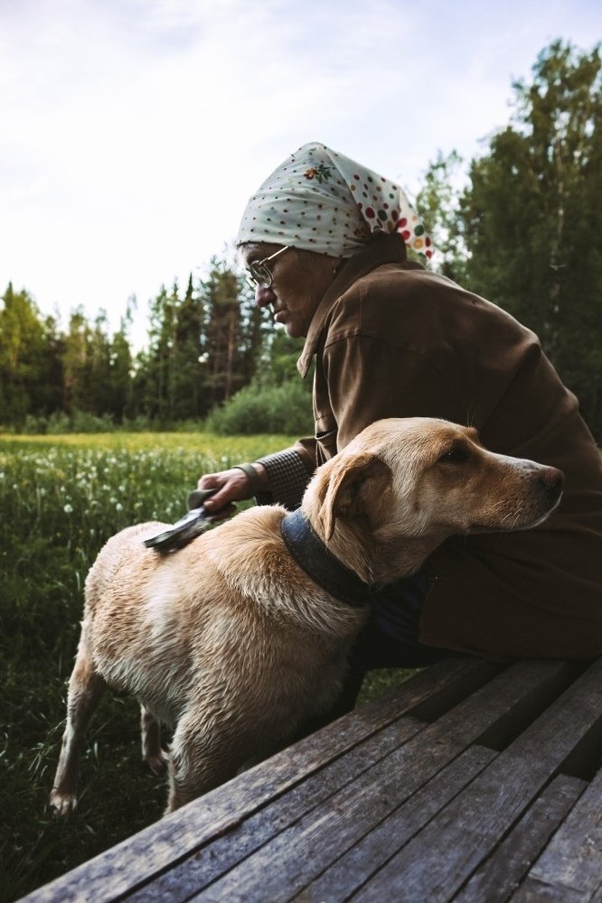 Photograph by Юсупова Елена