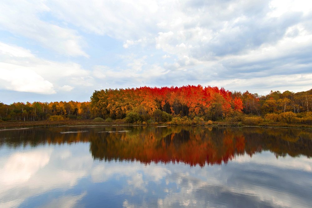 Фотография автора Olga Fedorova
