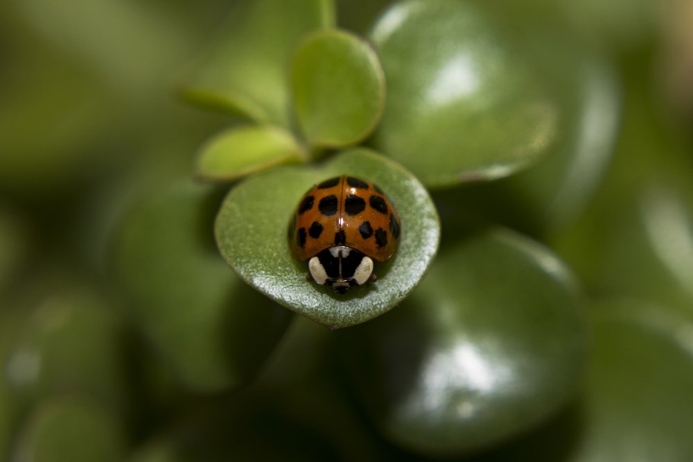 Photograph by Ricardo Sánchez