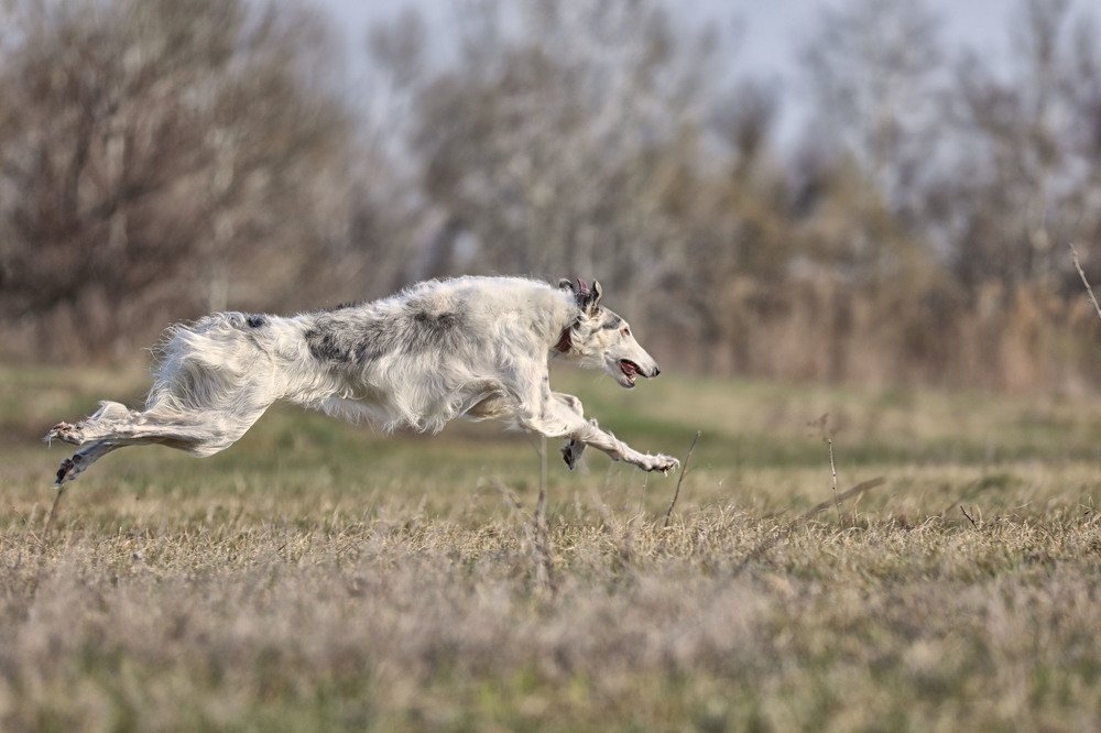 Photograph by Ольга Галецкая