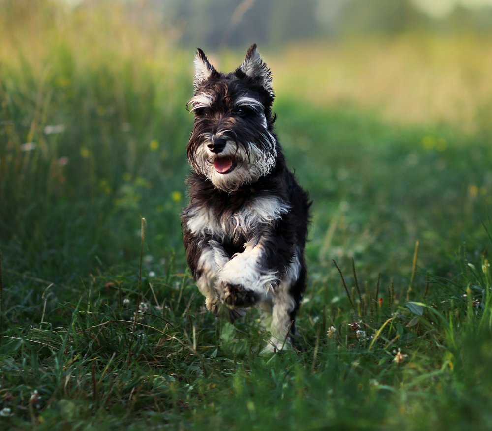 Photograph by Галина Щурова