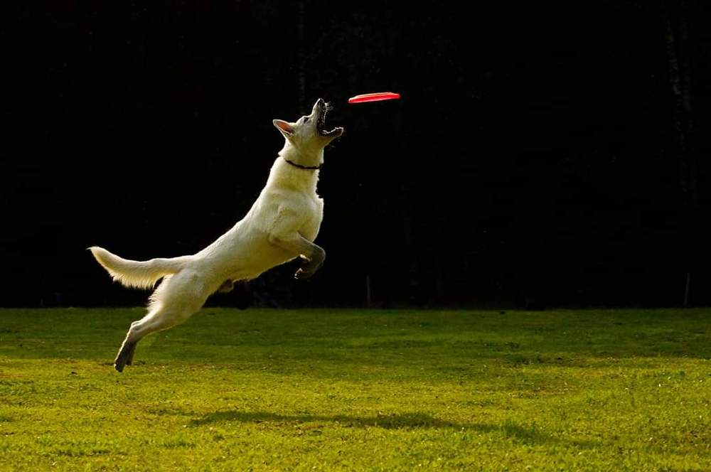 Photograph by Julia Nazarova