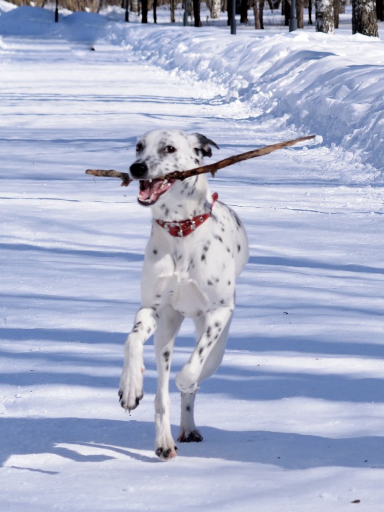 Photograph by Ирина Ященко