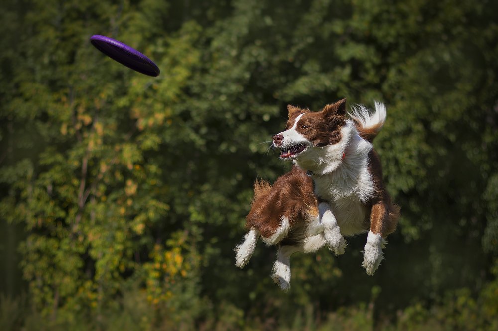 Photograph by Волгина Елена