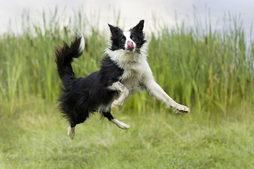 Photograph by Волгина Елена