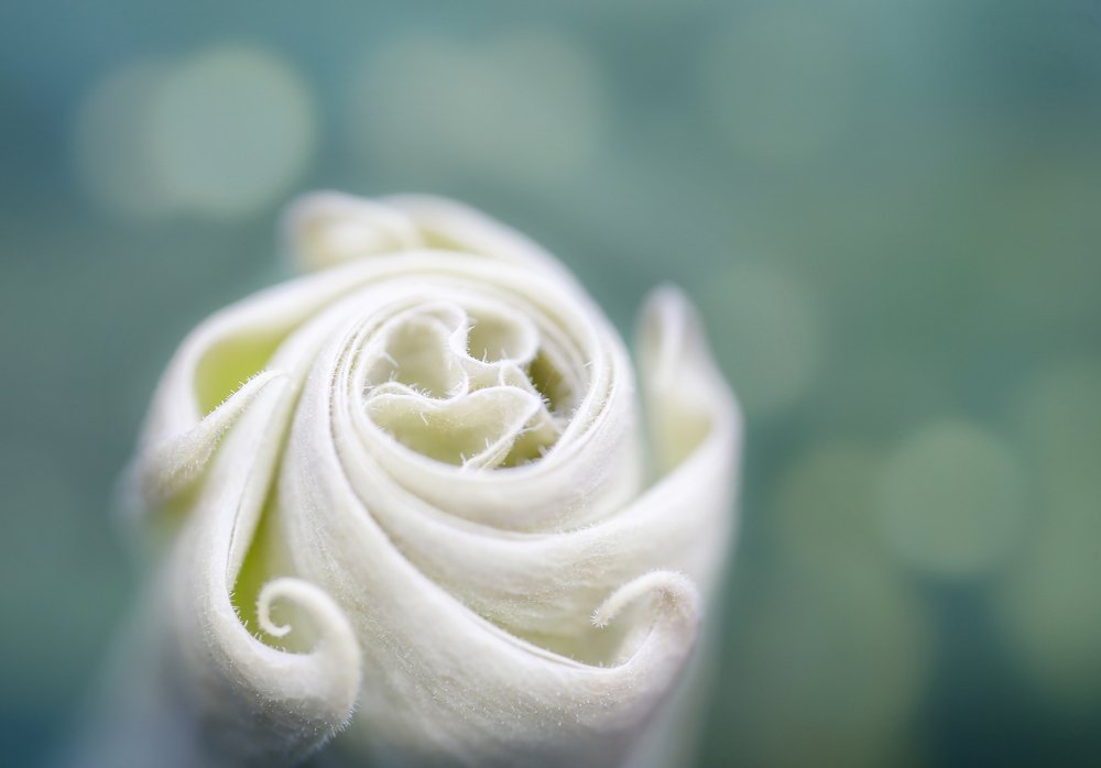 Photograph by Мария Самохина