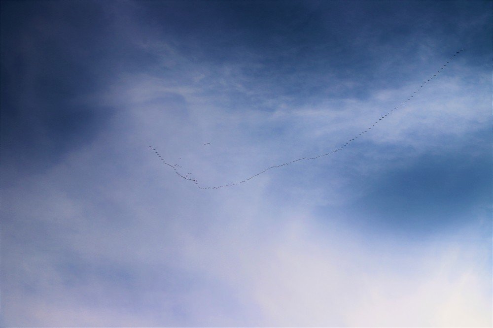 Photograph by Андрей Телибаев