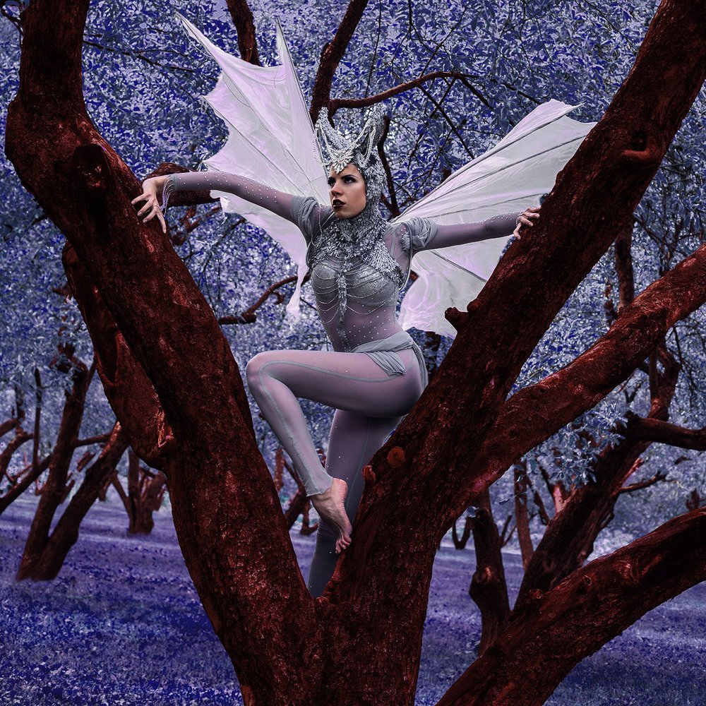 Photograph by Евгений Миленький