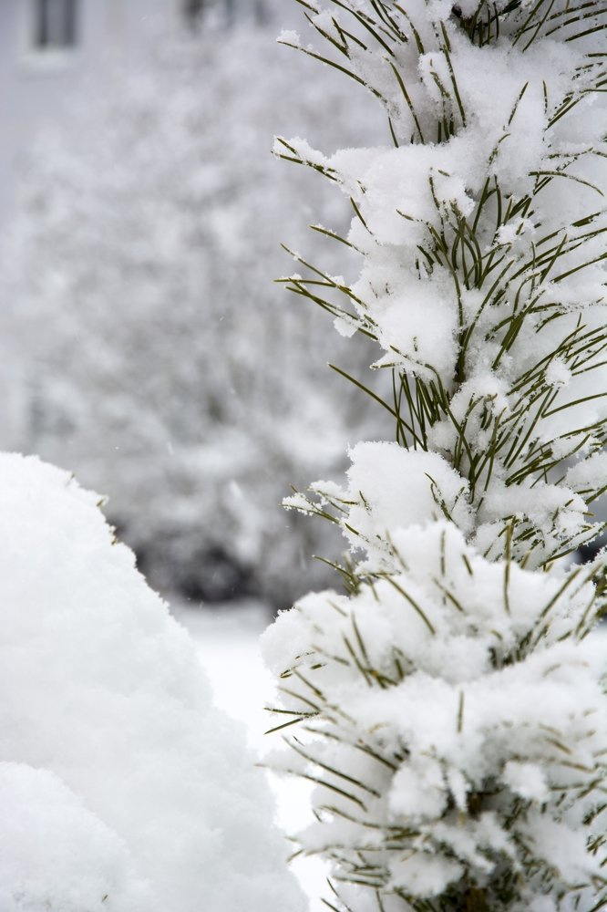 Photograph by Михаил Лавренков