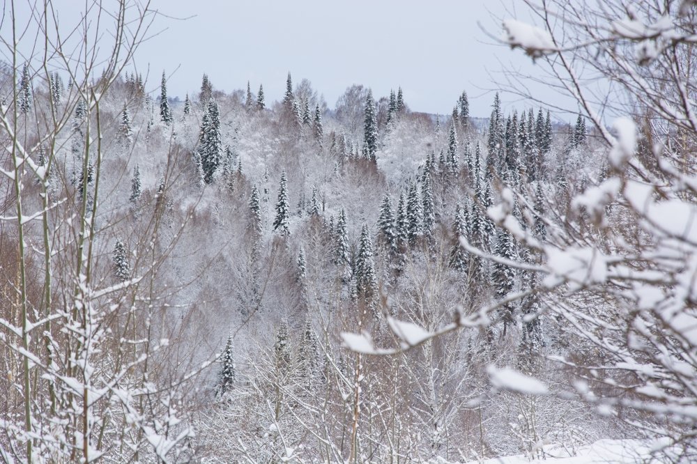 Photograph by Михаил Лавренков