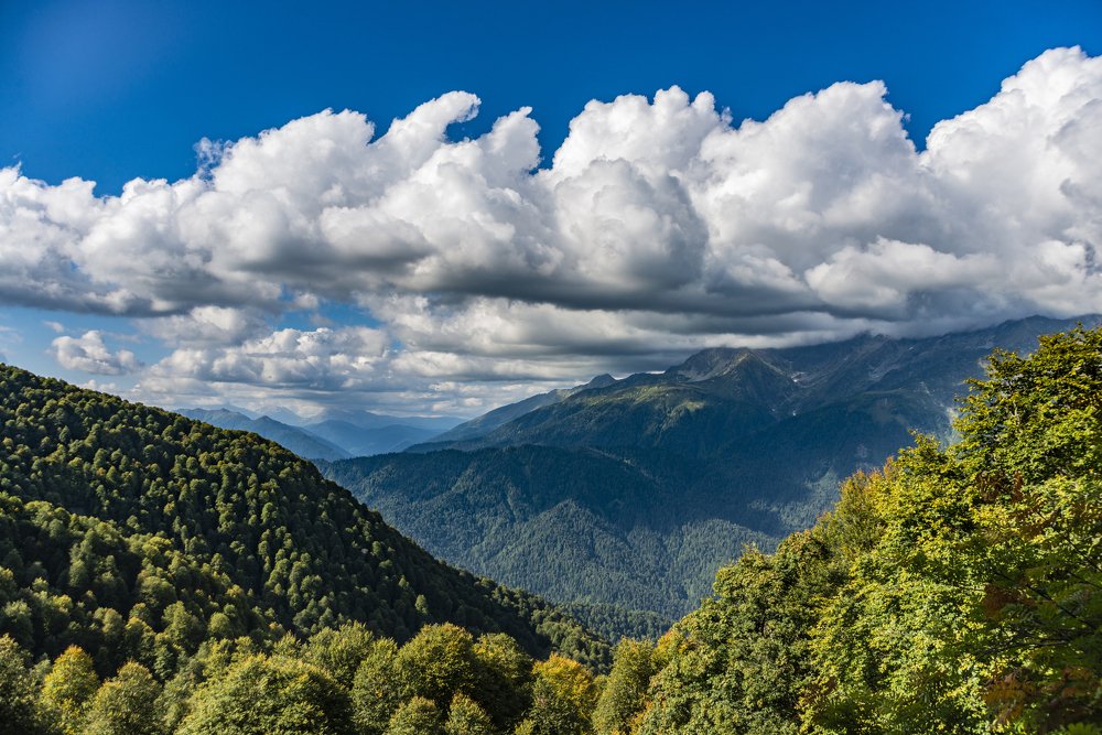 Photograph by Григорий Рунталь