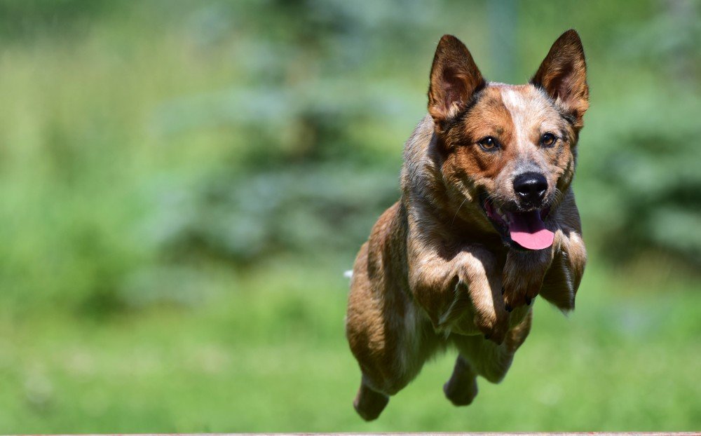 Photograph by alar viidu