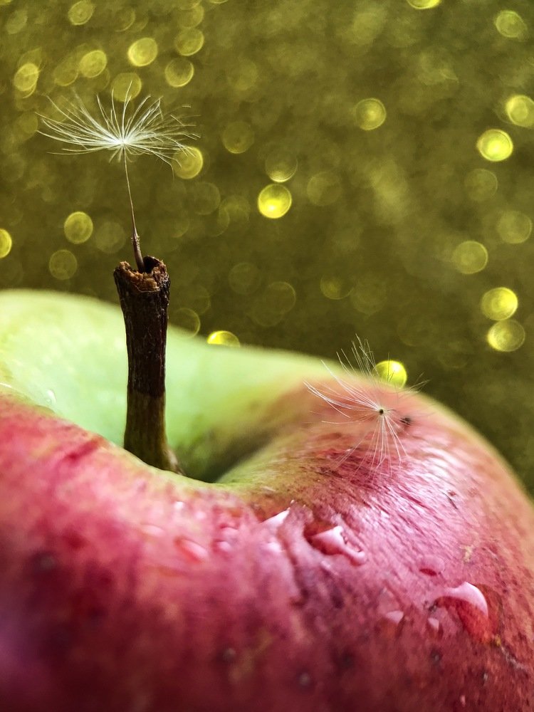 Photograph by Оксана Лукшина