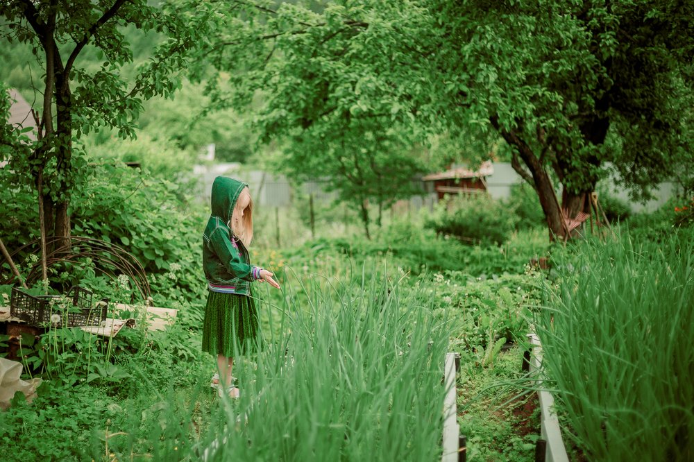 Photograph by Илона Дунаева