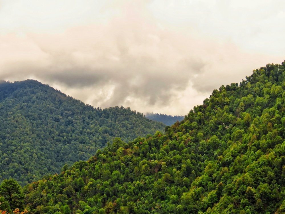 Photograph by Bahrami Ashkan