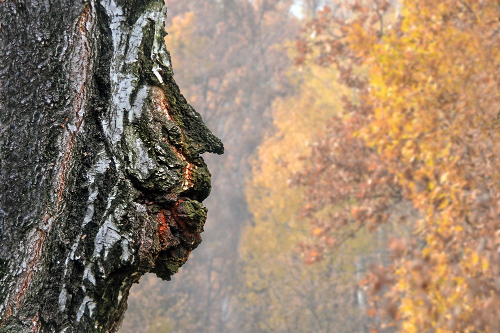 БОЛДИНСКАЯ ОСЕНЬ. Памяти Александра ПУШКИНА