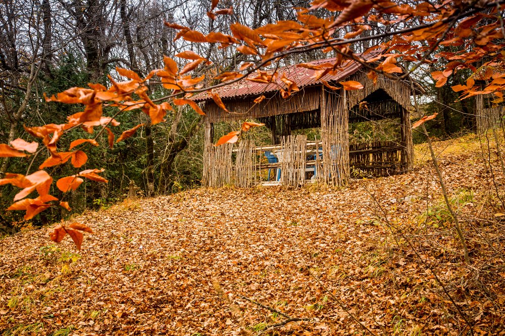 Photograph by Mahir Rustamov