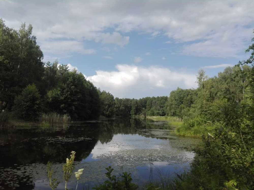 Photograph by Виктор Галкин