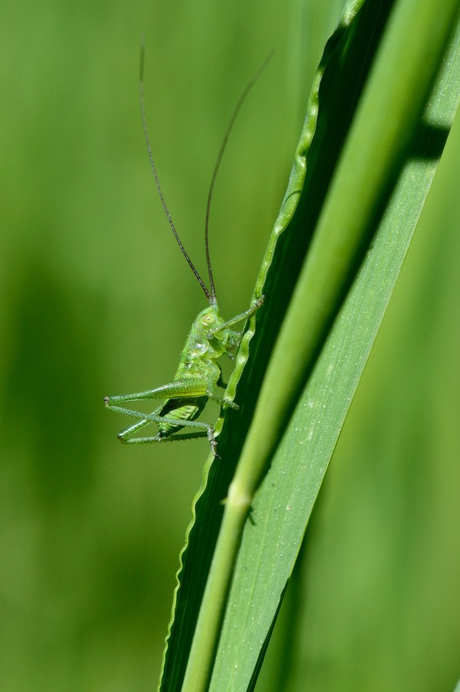 Photograph by Людмила Шалина