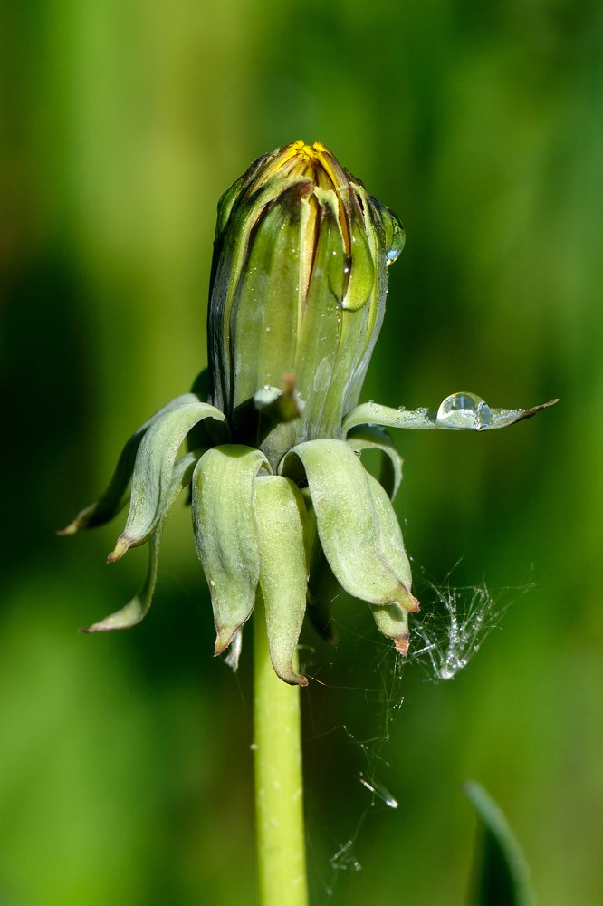 Photograph by Людмила Шалина