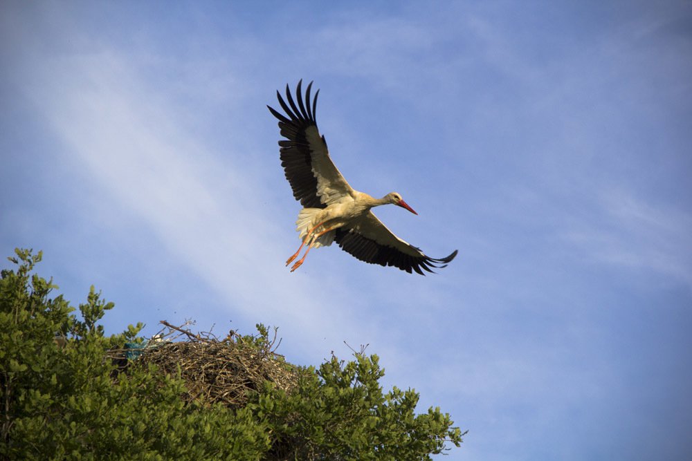 Photograph by hamid solaymani