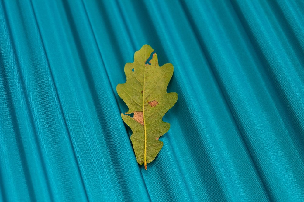 Photograph by Мари Полищук