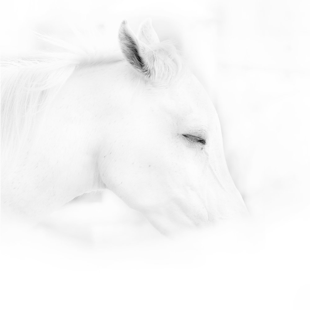 Фотография автора RanoosH ALi