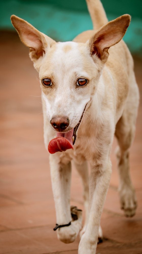 Photograph by kumanan prasath