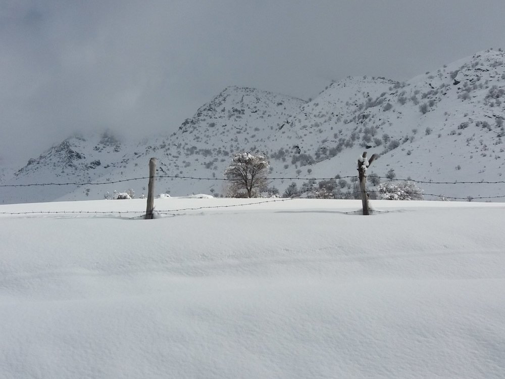 Photograph by hamid solaymani