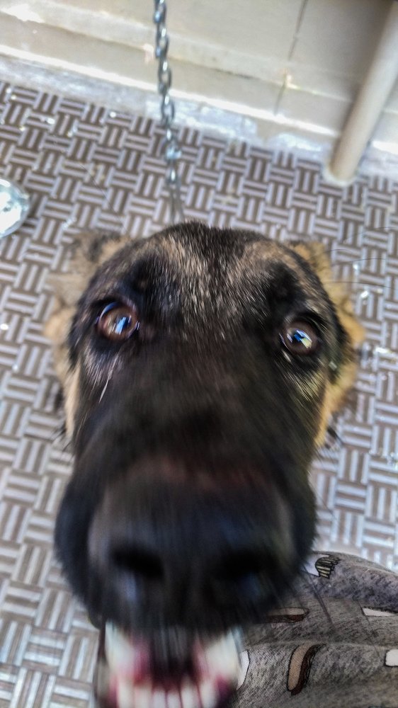 Photograph by kumanan prasath