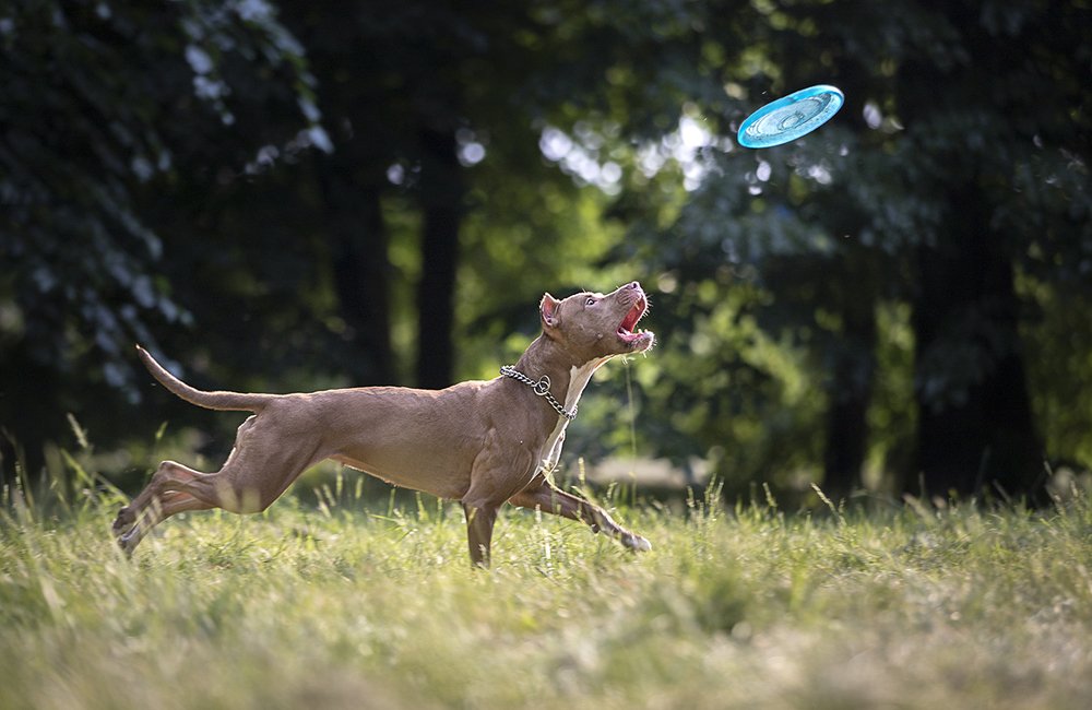 Photograph by Ирина Леонова