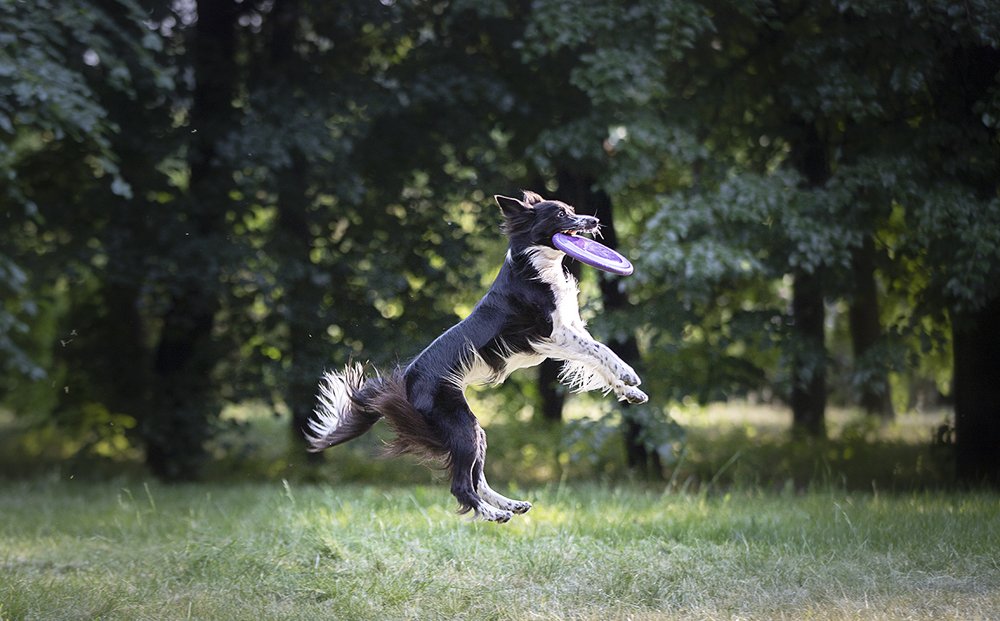 Photograph by Ирина Леонова