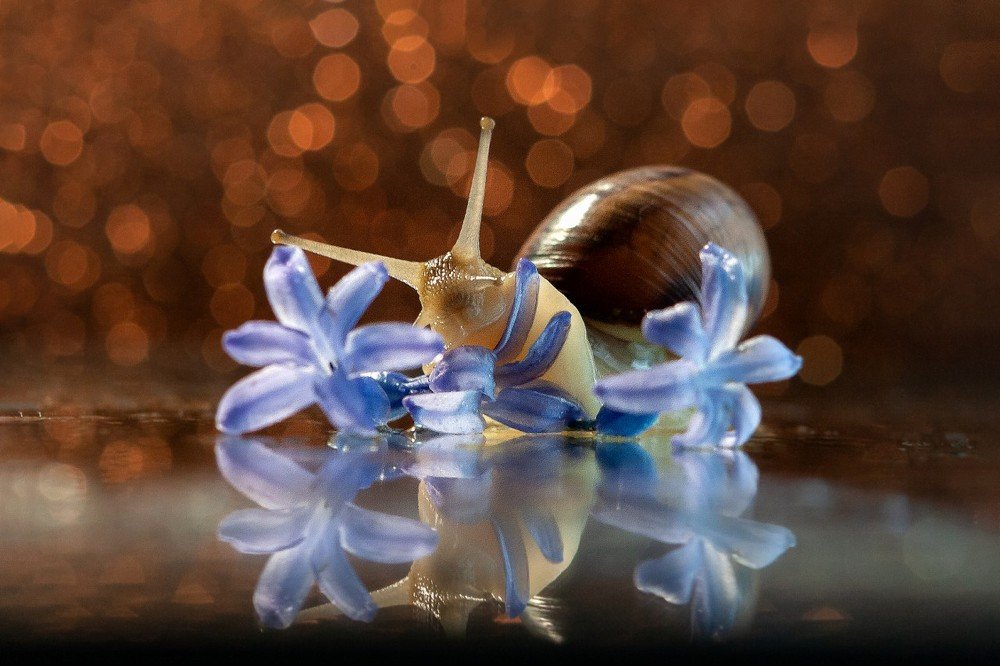 Photograph by Александра Калиниченко