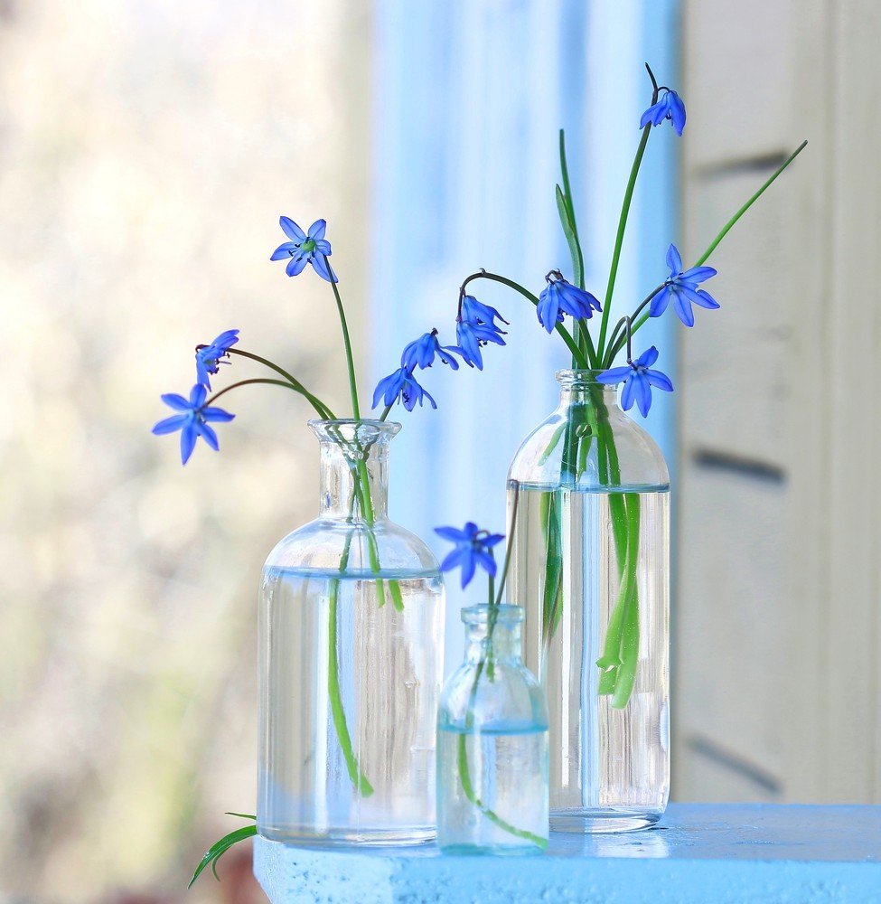 Photograph by Наталья Казанцева