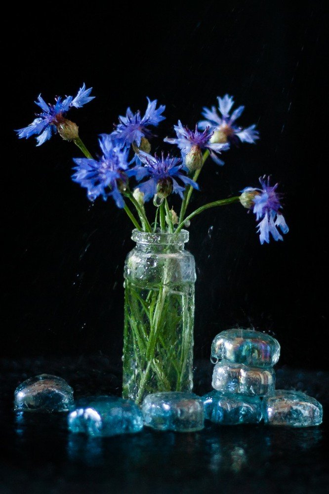 Photograph by Александра Калиниченко