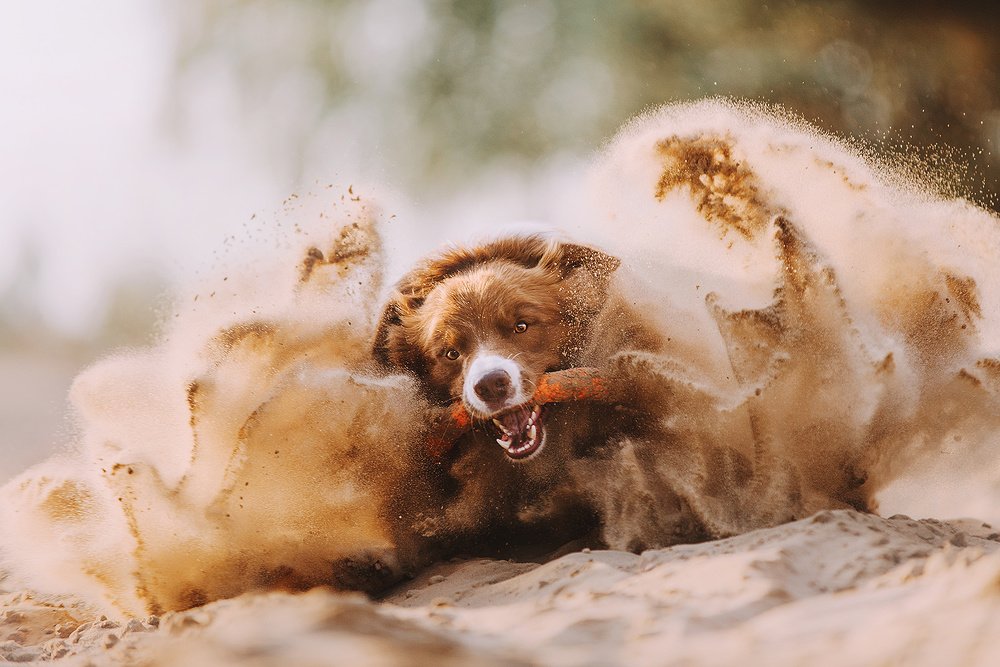 Буря в пустыне